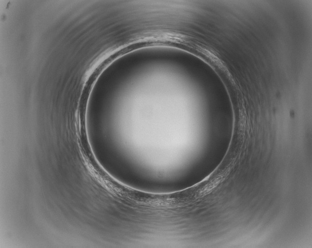 X0000054370936200508011217