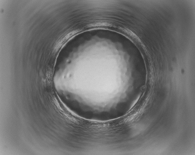 X0000054370937200508011217