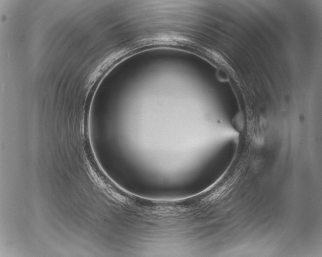 X0000054370938200508011217