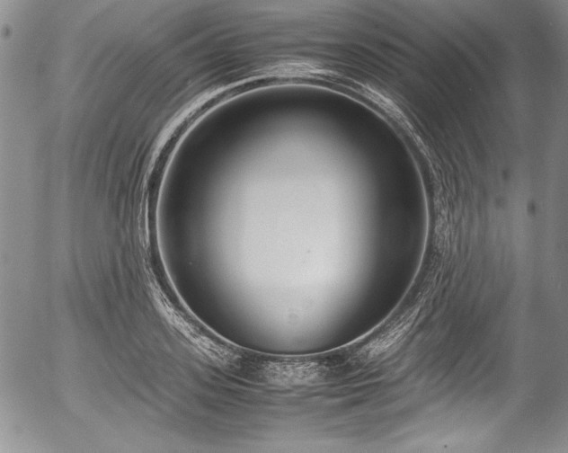 X0000054370939200508011217