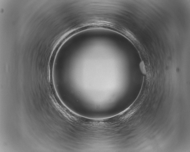 X0000054370940200508011217