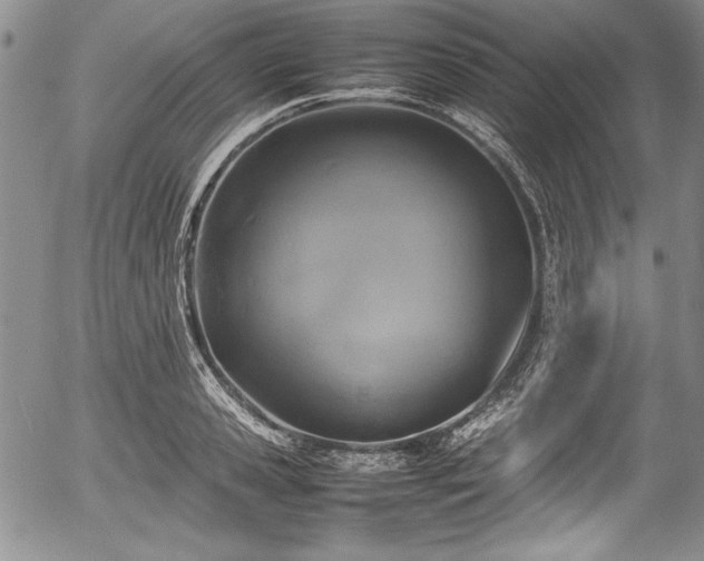 X0000054370941200508011217