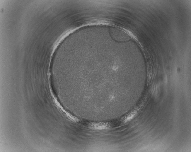 X0000054370943200508011217