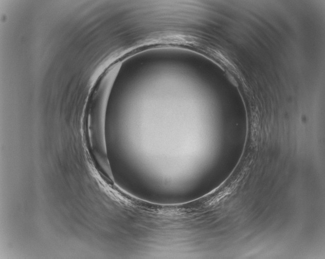 X0000054370944200508011217