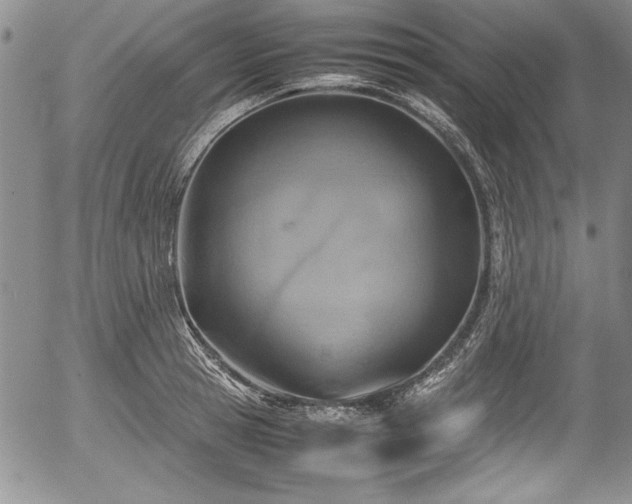 X0000054370945200508011217