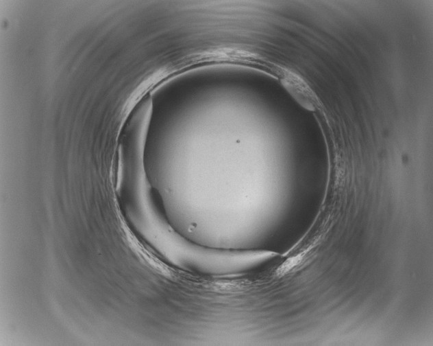 X0000054370946200508011217