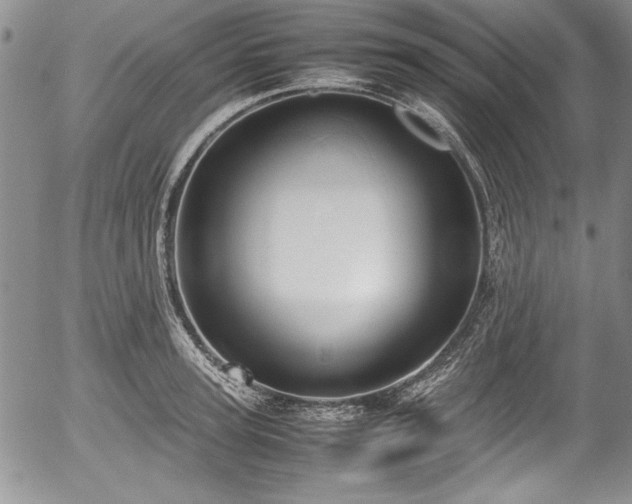 X0000054370947200508011217