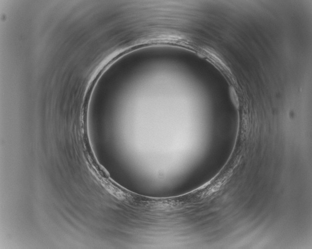 X0000054370948200508011217