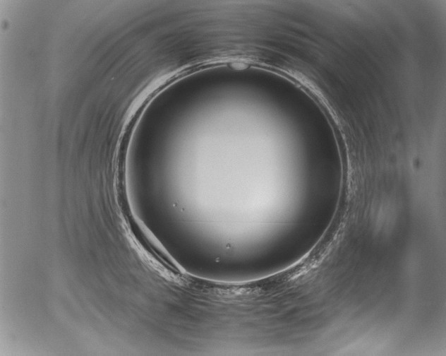 X0000054370949200508011217