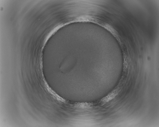 X0000054370950200508011217