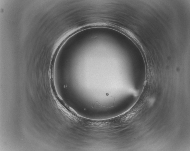 X0000054370951200508011217