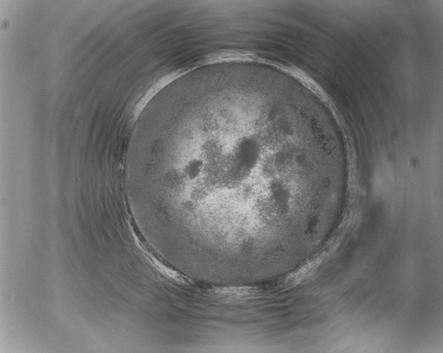 X0000054370953200508011217