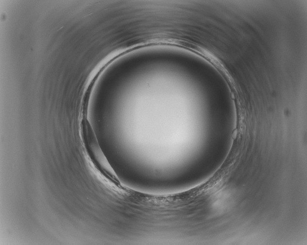 X0000054370955200508011217