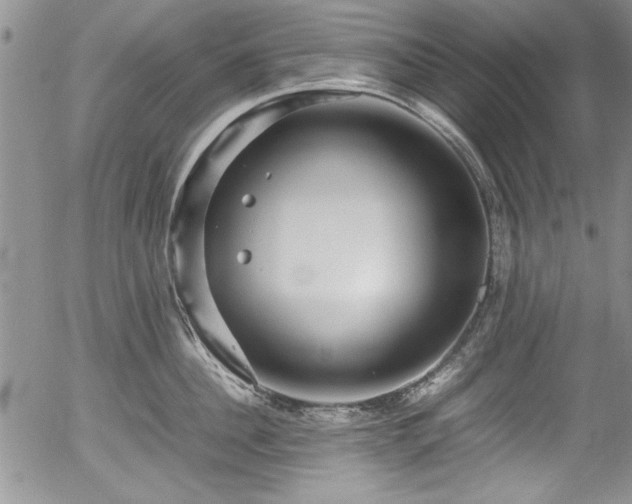 X0000054370956200508011217