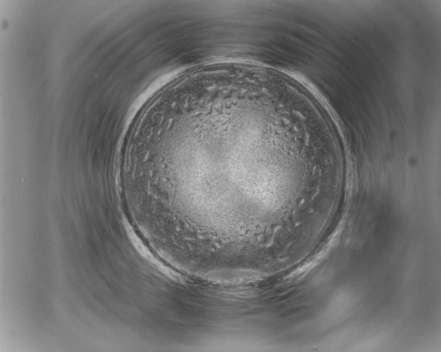 X0000054370957200508011217