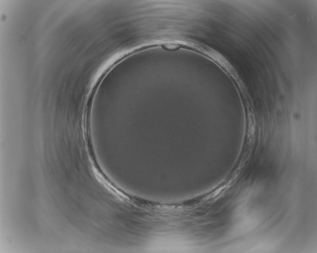 X0000054370958200508011217