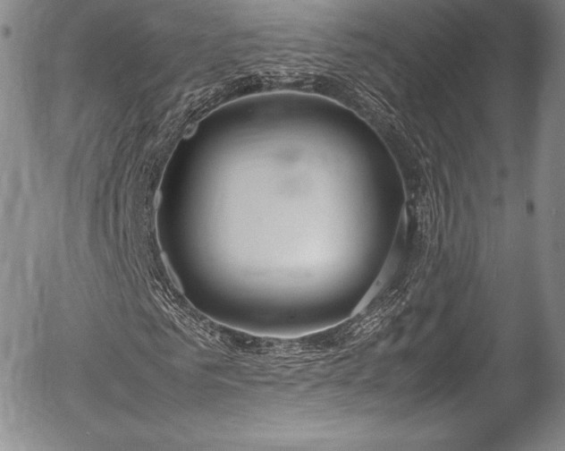 X0000054370961200508011216