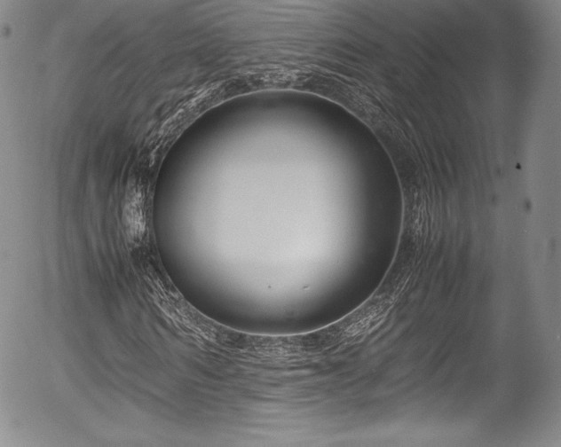 X0000054370962200508011216