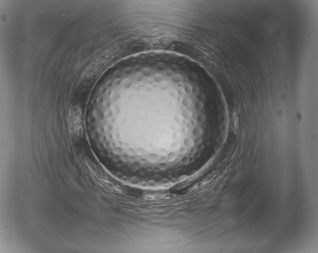 X0000054370963200508011216