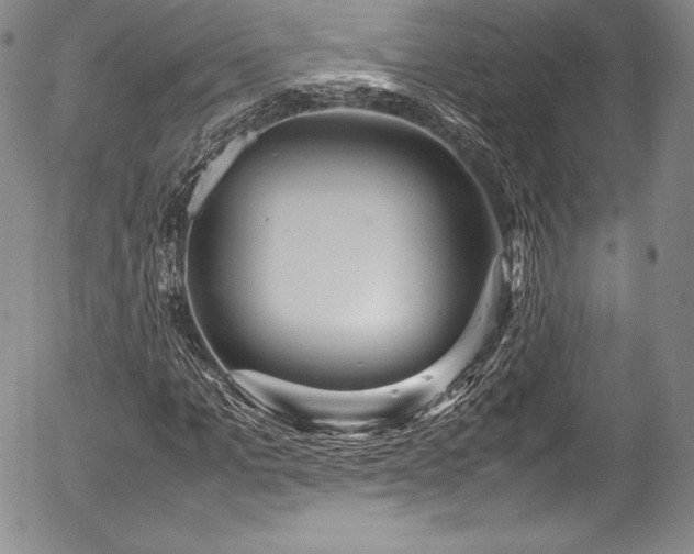 X0000054370965200508011216