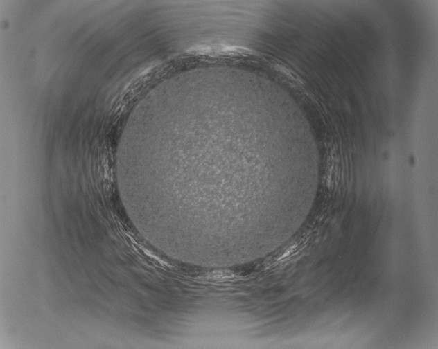 X0000054370966200508011216