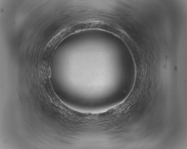 X0000054370967200508011216