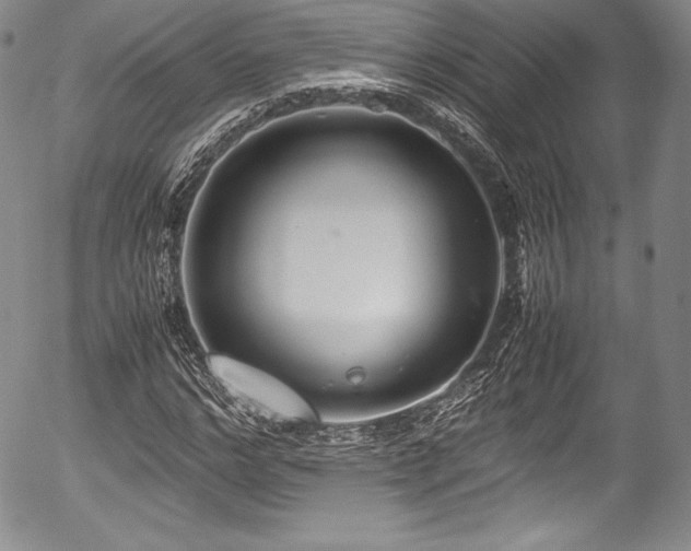 X0000054370968200508011216