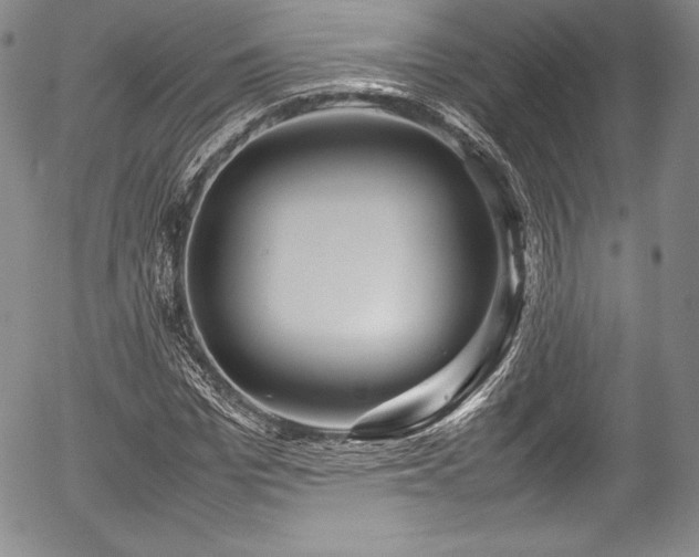 X0000054370969200508011216