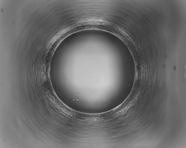 X0000054370970200508011216