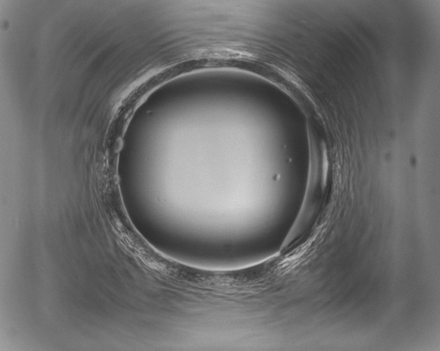 X0000054370971200508011216