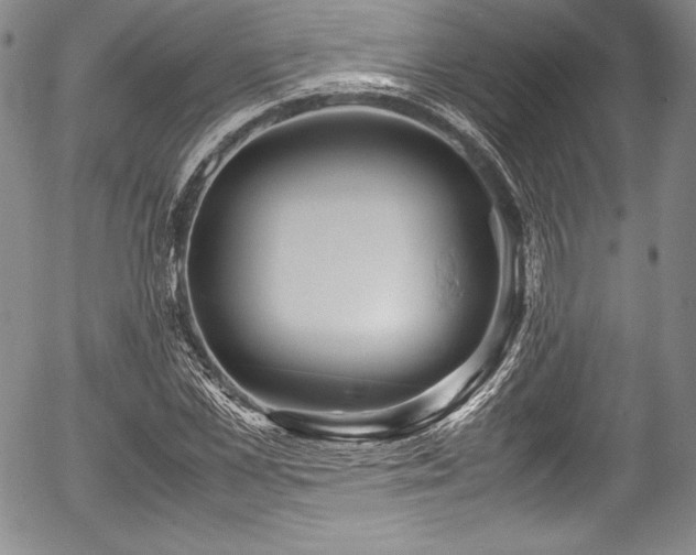 X0000054370973200508011216