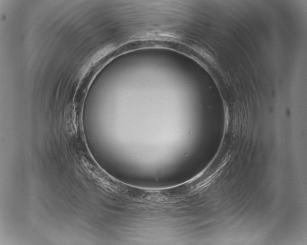 X0000054370974200508011216