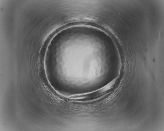 X0000054370975200508011216