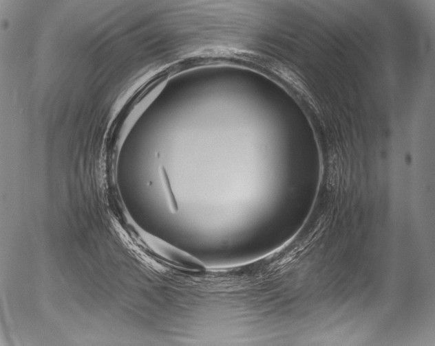 X0000054370976200508011216