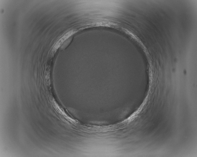 X0000054370977200508011216