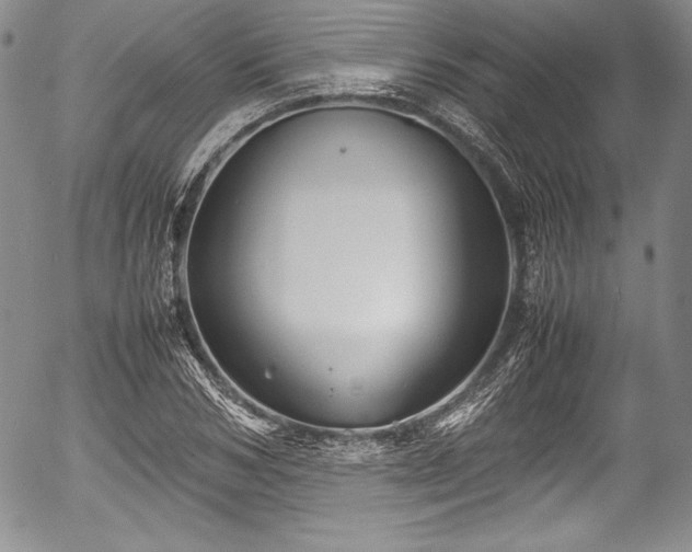 X0000054370978200508011216