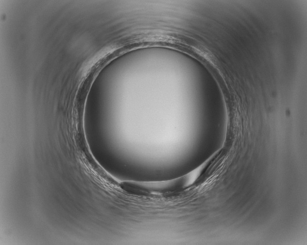 X0000054370979200508011216