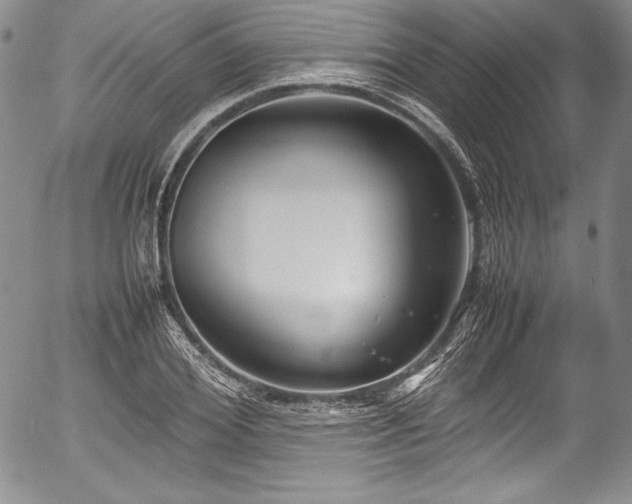 X0000054370980200508011216