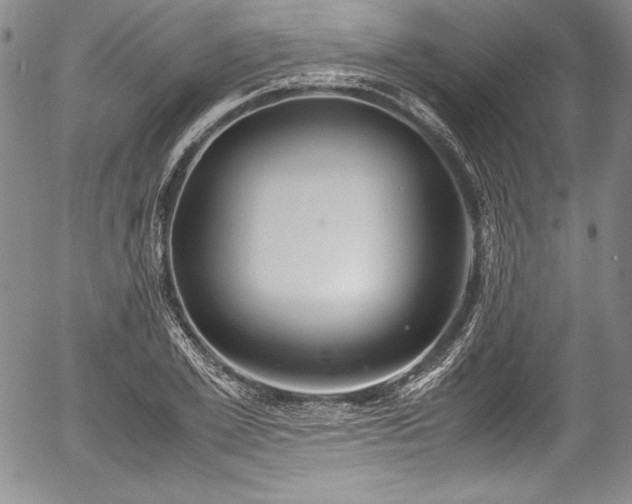 X0000054370981200508011216