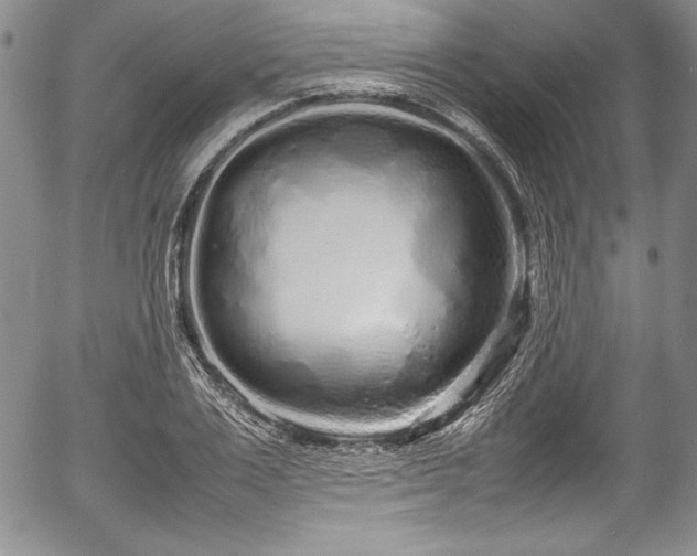 X0000054370983200508011216