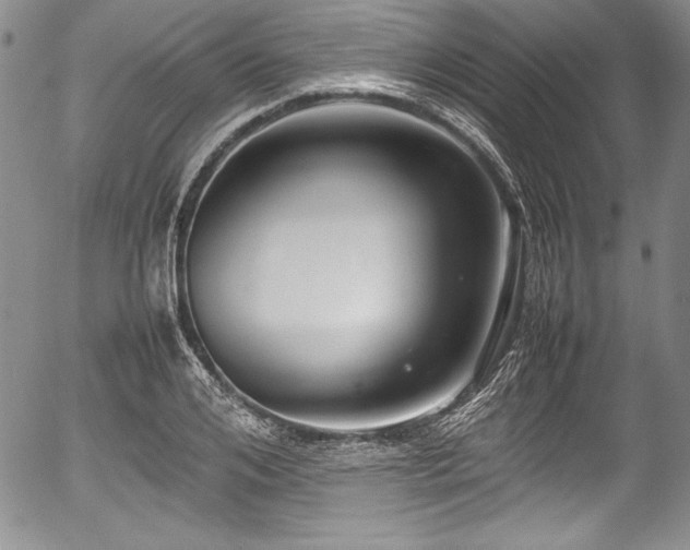 X0000054370984200508011216