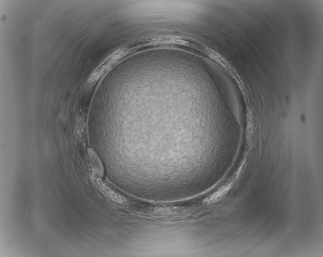 X0000054370985200508011216