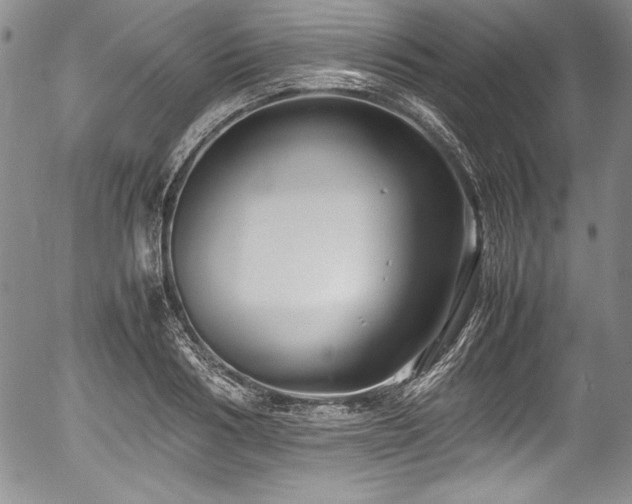 X0000054370986200508011216