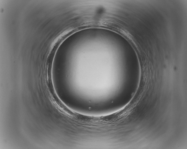 X0000054370987200508011216