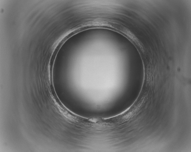 X0000054370988200508011216