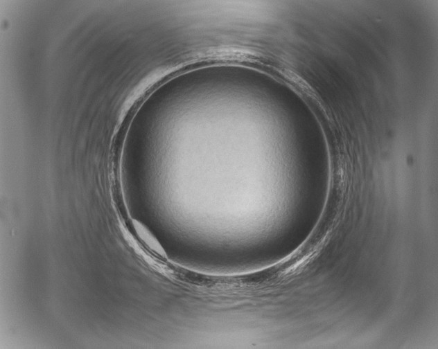 X0000054370989200508011216