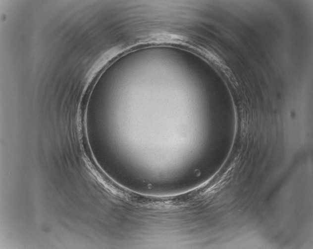 X0000054370990200508011216