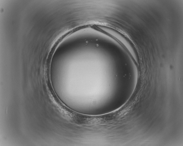 X0000054370991200508011216