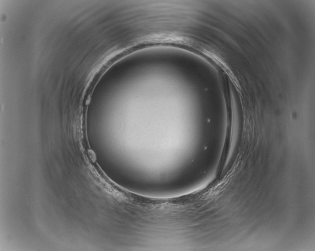 X0000054370992200508011216