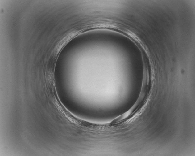 X0000054370993200508011216